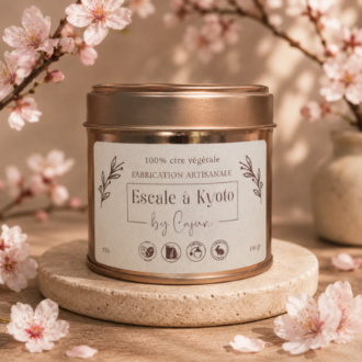 Escale à Kyoto