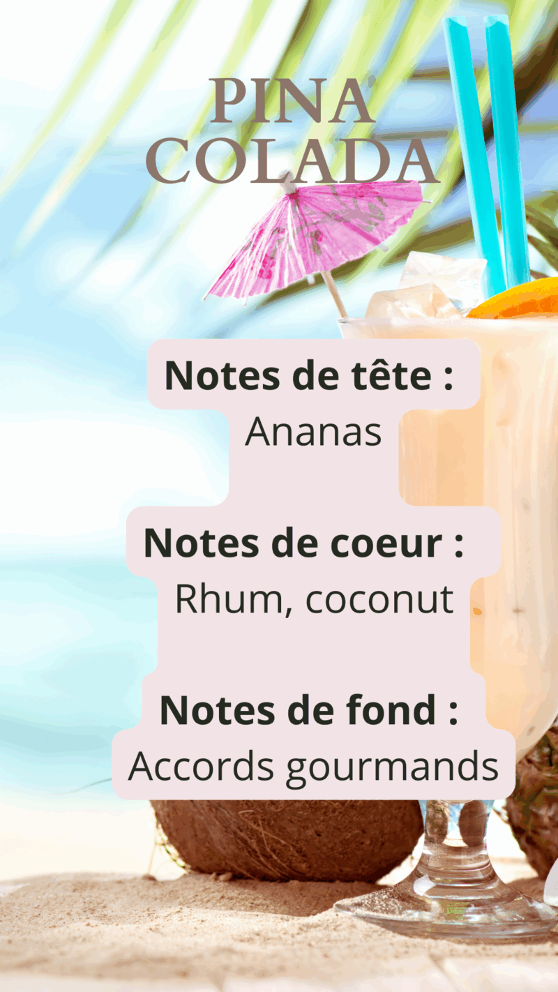 Pina Colada – Image 2